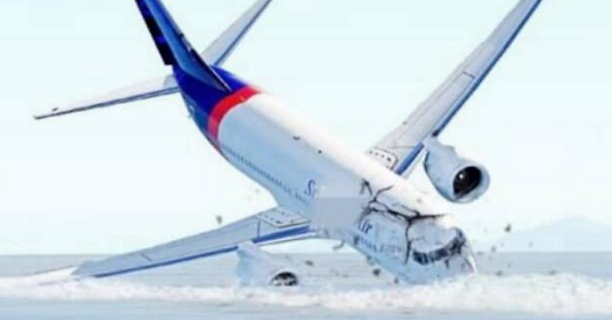 3D还原印尼客机坠毁：全程未发信号 1分钟下降超1万英尺